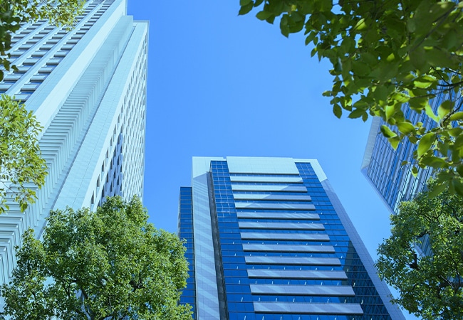 緑と青空、ビル街